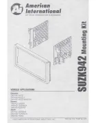 American International