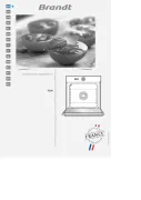 Brandt
