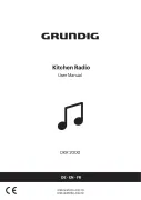 Grundig
