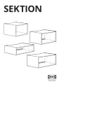 American International